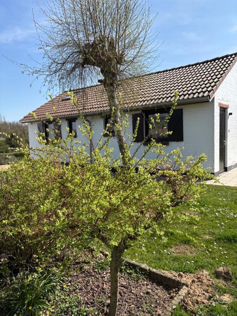 Mijn Kleinhof Villa Westouter Luaran gambar